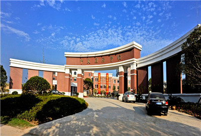 东阳市球盟会国际初中